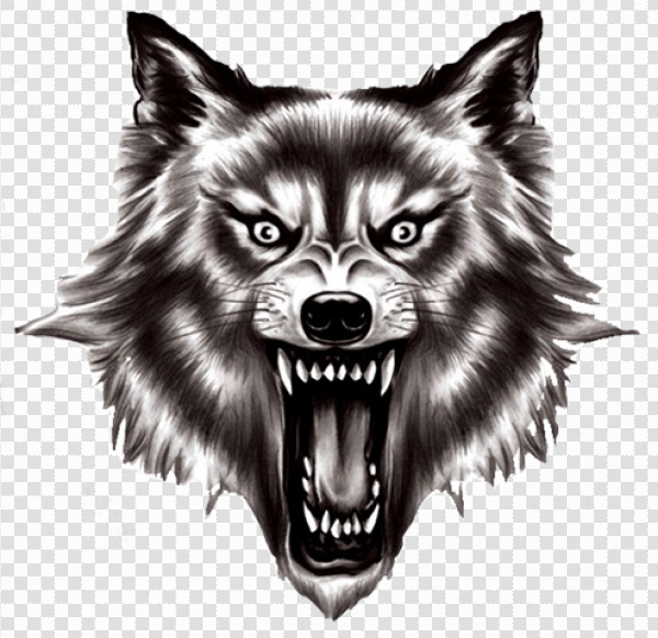 Detail Werewolf Transparent Nomer 52