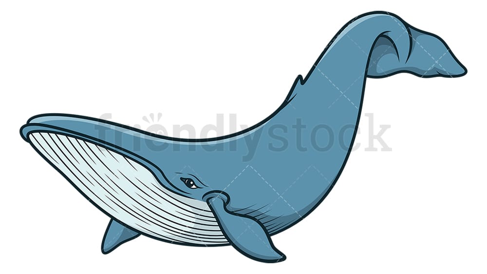 Detail Whale Cartoon Png Nomer 42