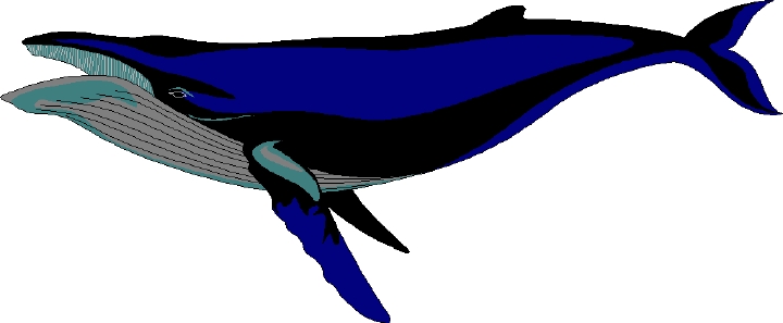 Detail Whale Clipart Nomer 20