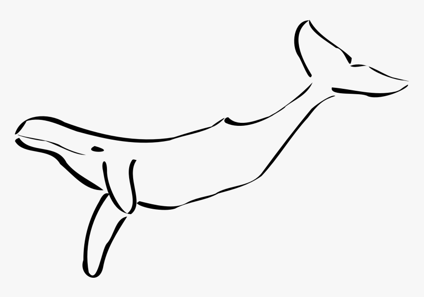 Detail Whale Clipart Black And White Nomer 9