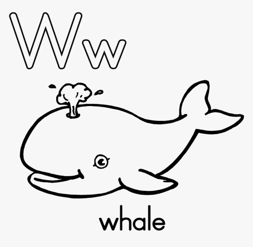 Detail Whale Clipart Black And White Nomer 24