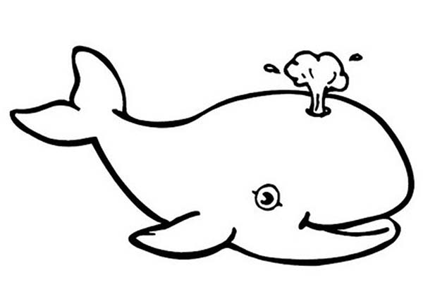 Detail Whale Clipart Black And White Nomer 4