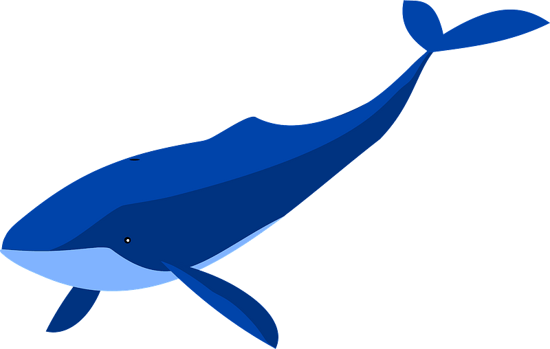 Detail Whale Clipart Free Nomer 22