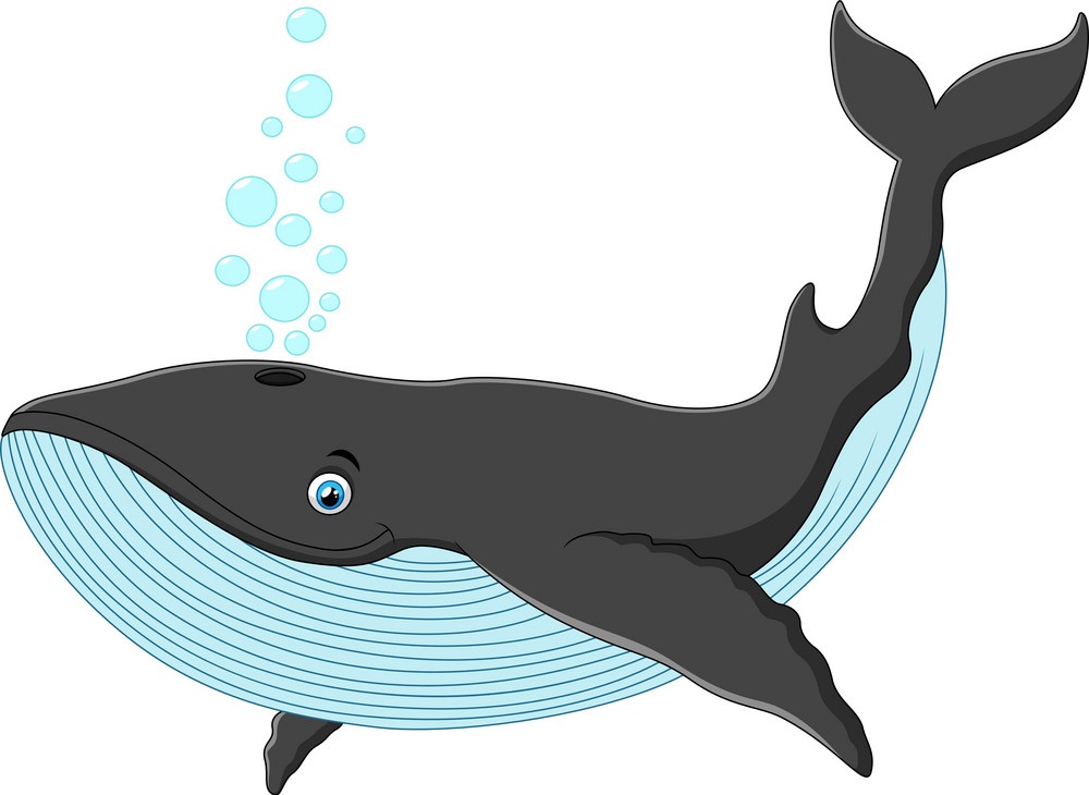 Detail Whale Clipart Images Nomer 14