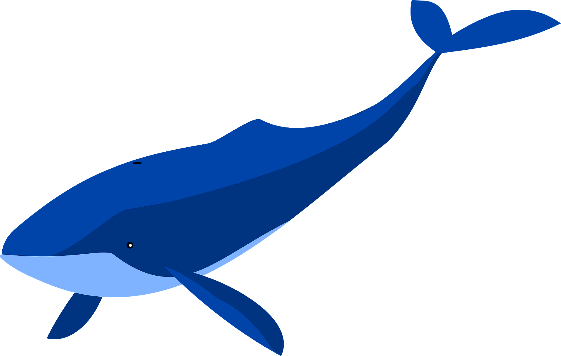 Detail Whale Clipart Images Nomer 22