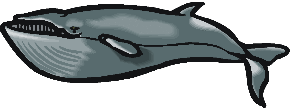 Detail Whale Clipart Images Nomer 49