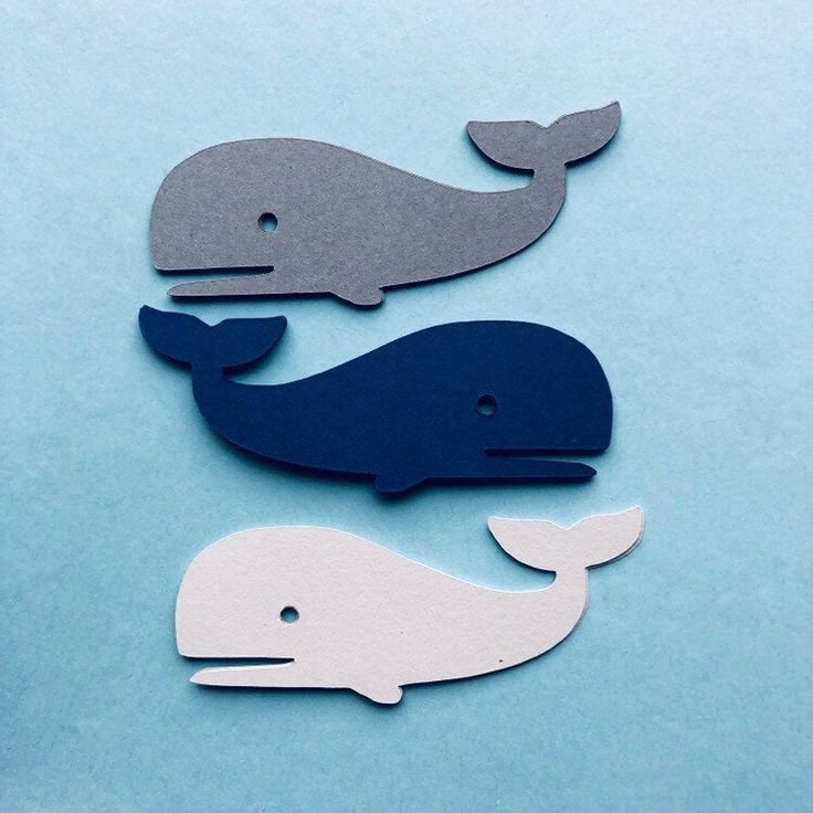 Detail Whale Confetti Nomer 17