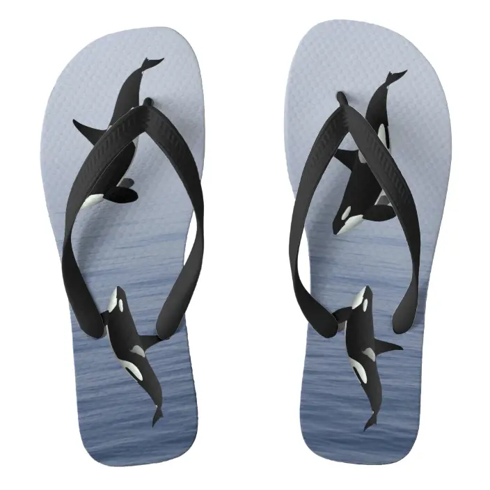 Detail Whale Flip Flops Nomer 43