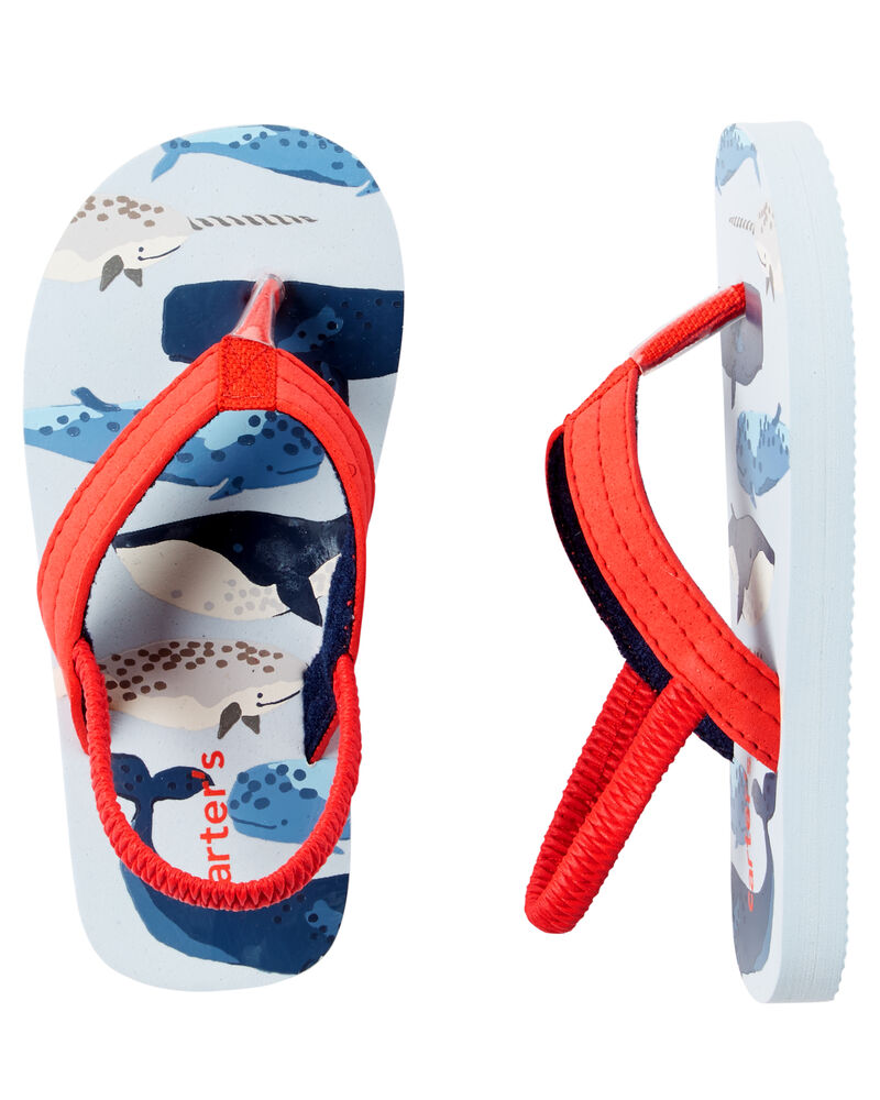 Detail Whale Flip Flops Nomer 48