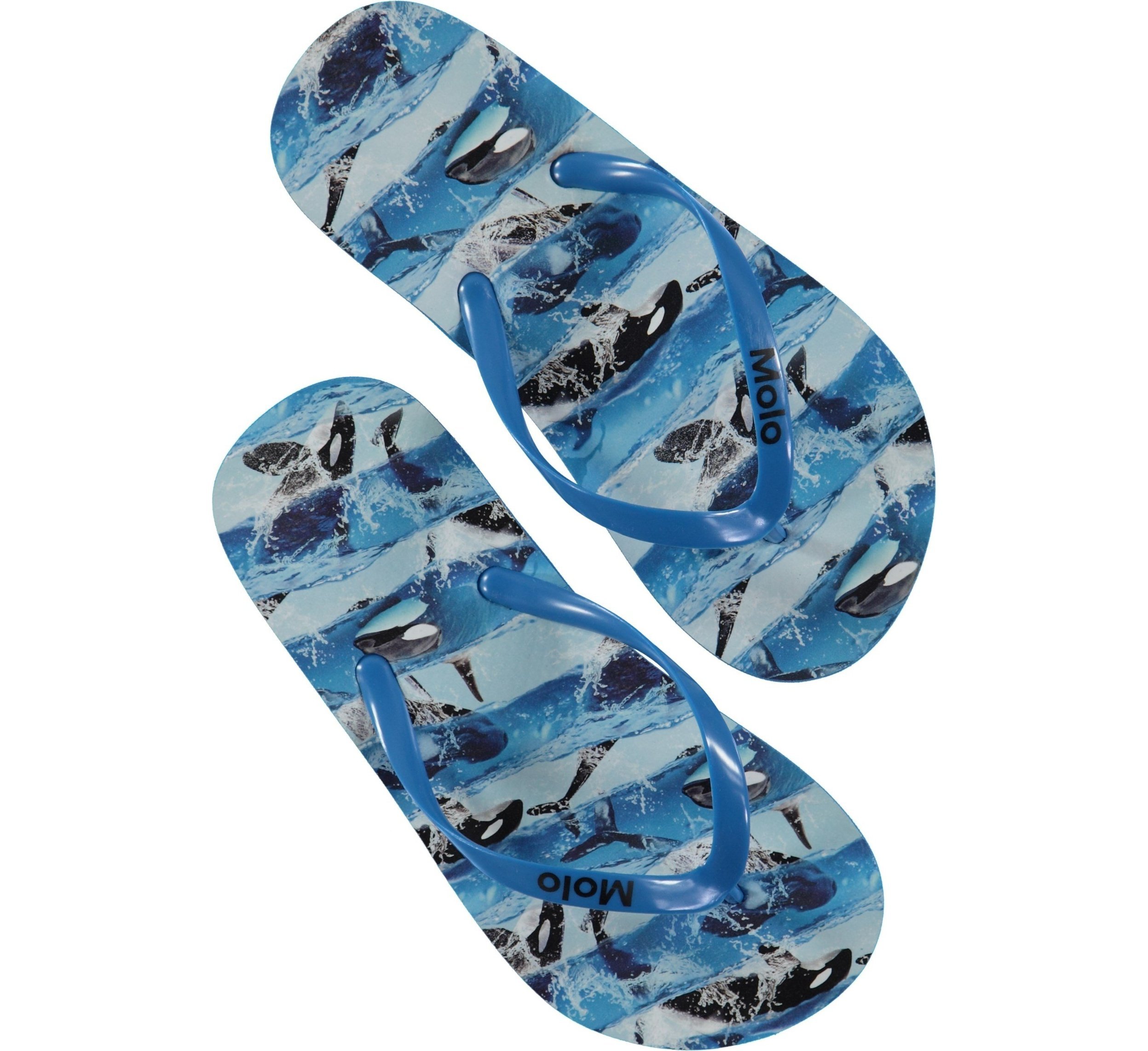 Detail Whale Flip Flops Nomer 50