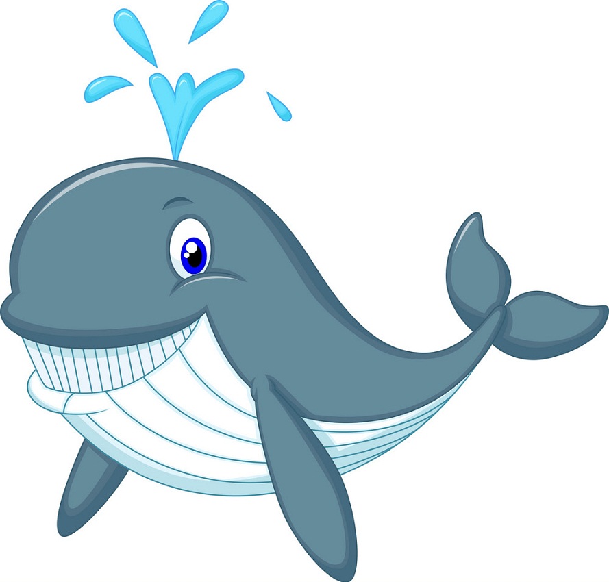Detail Whale Image Clipart Nomer 13