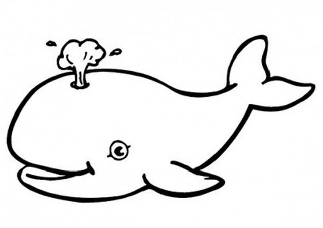 Detail Whale Image Clipart Nomer 23