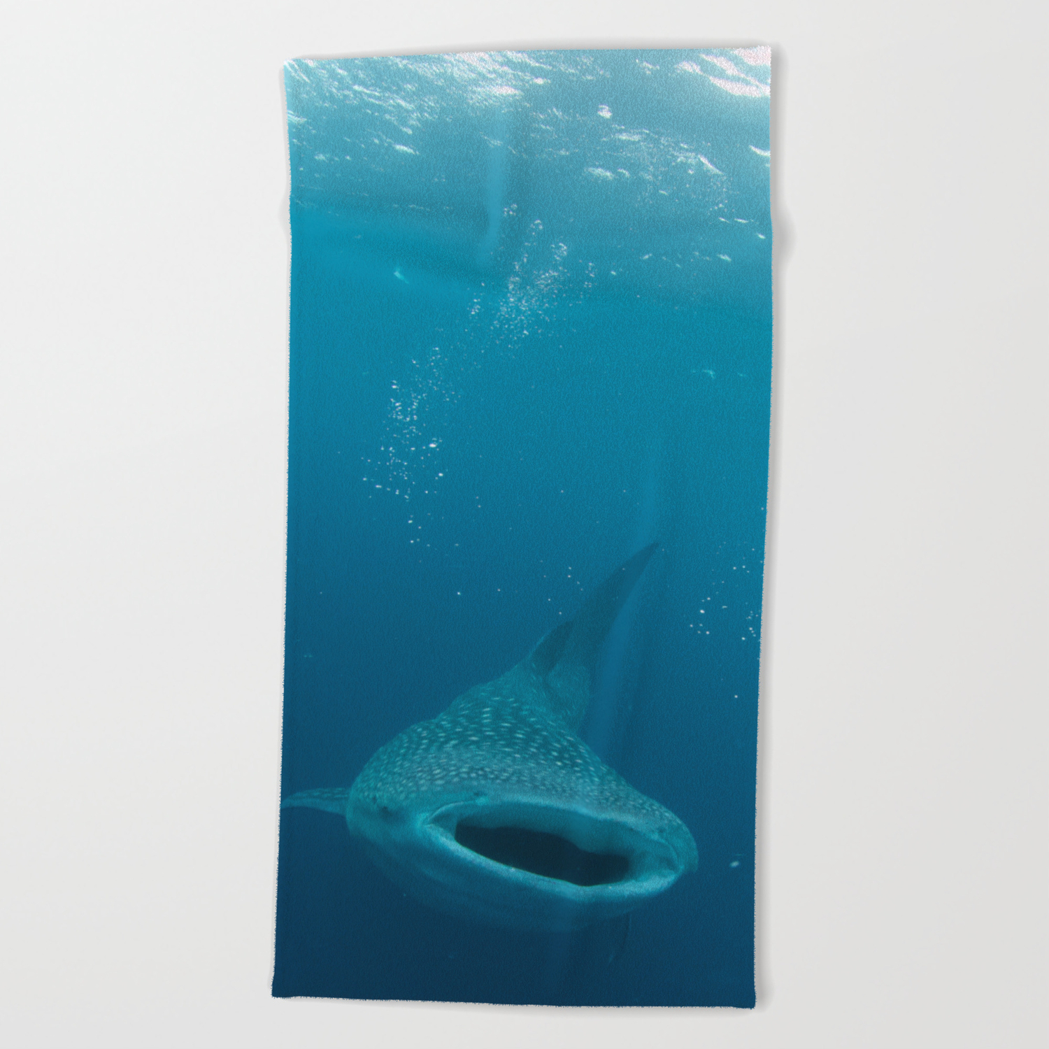 Detail Whale Shark Beach Towel Nomer 15