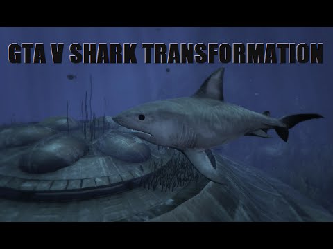 Detail Whale Shark Gta 5 Nomer 43