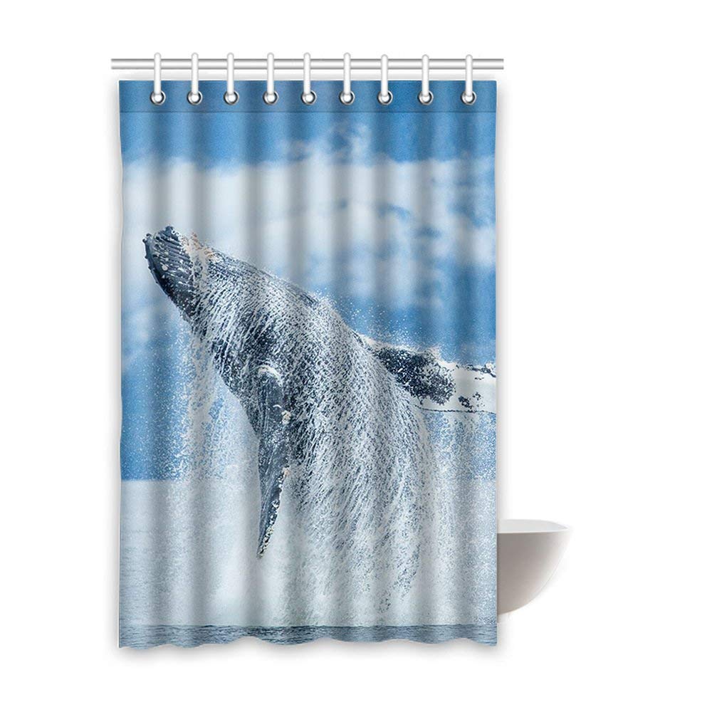 Detail Whale Shower Curtain Hooks Nomer 48