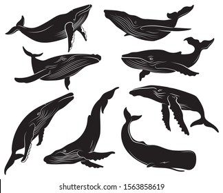 Detail Whale Silhouette Clip Art Nomer 17
