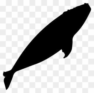Detail Whale Silhouette Clip Art Nomer 31