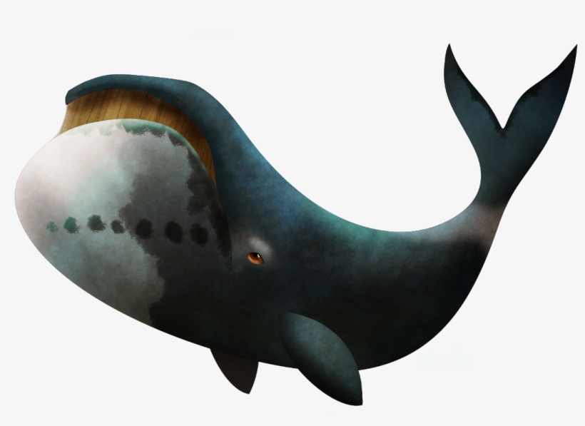 Detail Whale Transparent Nomer 47