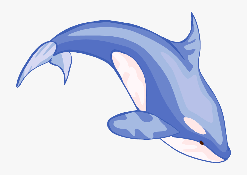 Detail Whale Vector Png Nomer 12