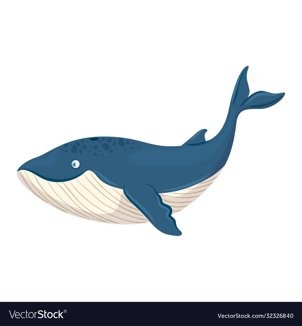 Detail Whale Vector Png Nomer 15