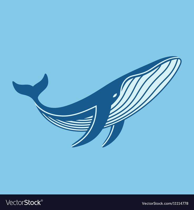 Detail Whale Vector Png Nomer 26