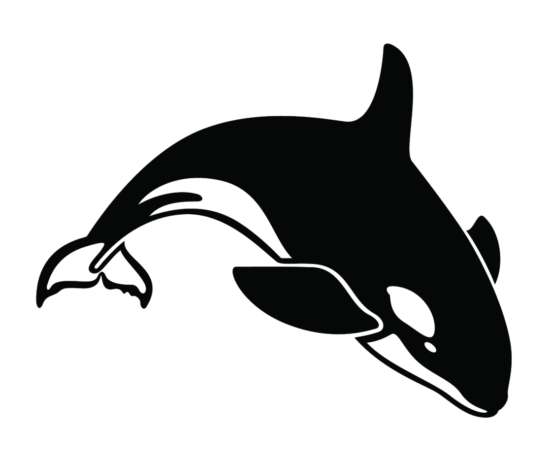 Detail Whale Vector Png Nomer 28