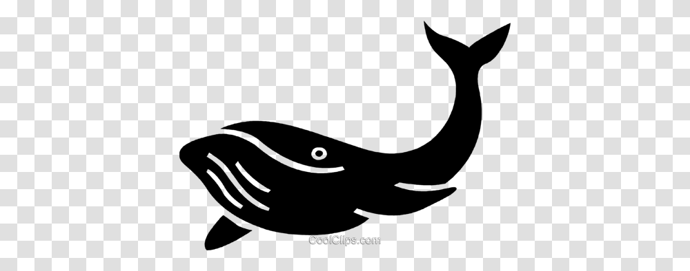 Detail Whale Vector Png Nomer 54