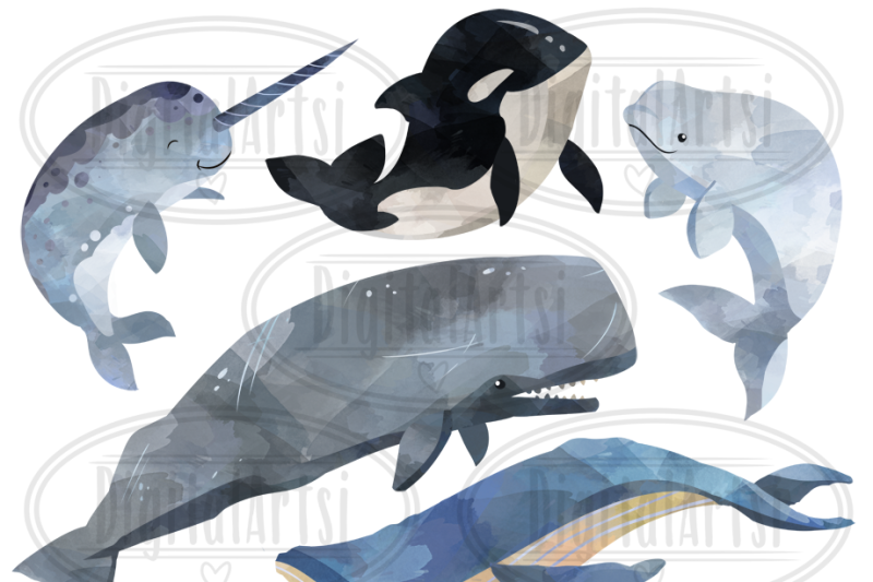 Detail Whales Clipart Nomer 38