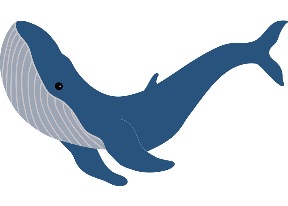 Detail Whales Clipart Nomer 6
