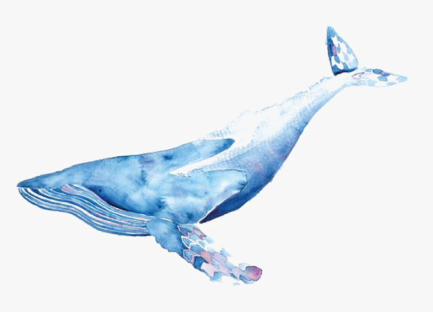 Detail Whales Png Nomer 44