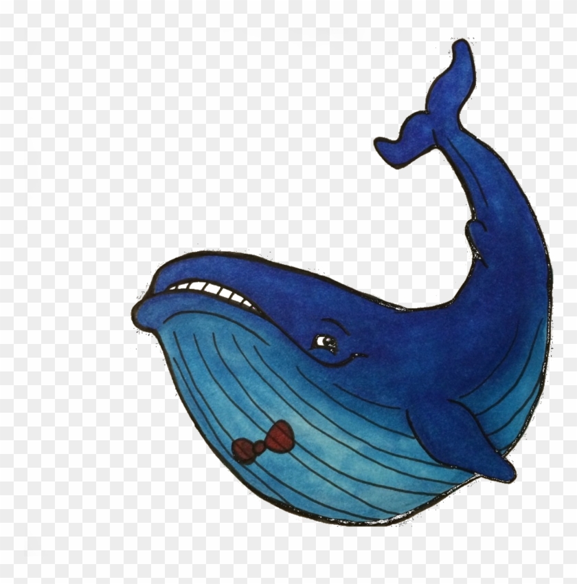 Detail Whales Png Nomer 49