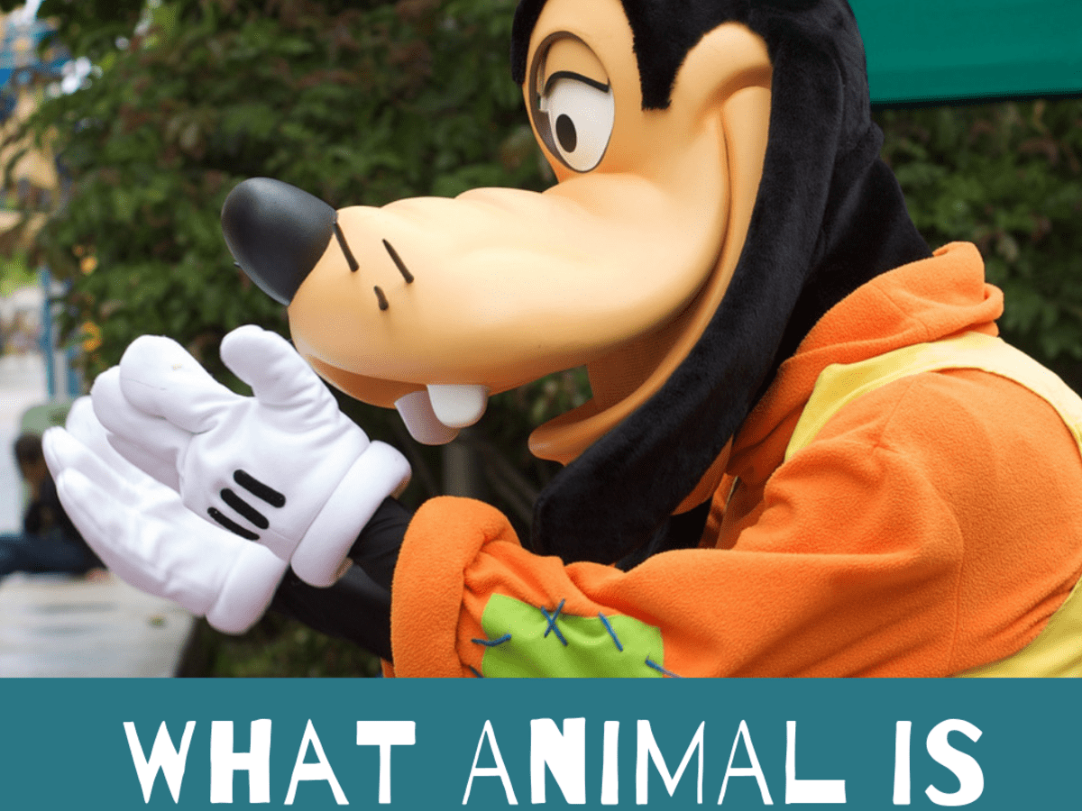 Detail What Animal Is Goofy The Disney Character Nomer 3