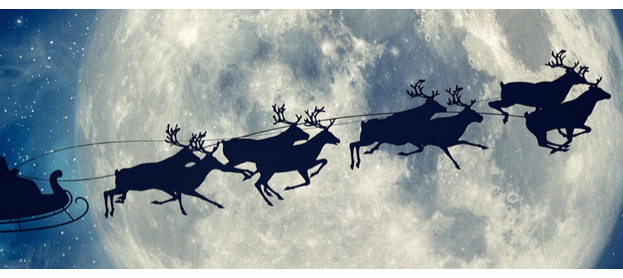Detail What Are All The 9 Reindeers Names Nomer 23