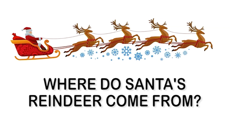 Detail What Are All The 9 Reindeers Names Nomer 32
