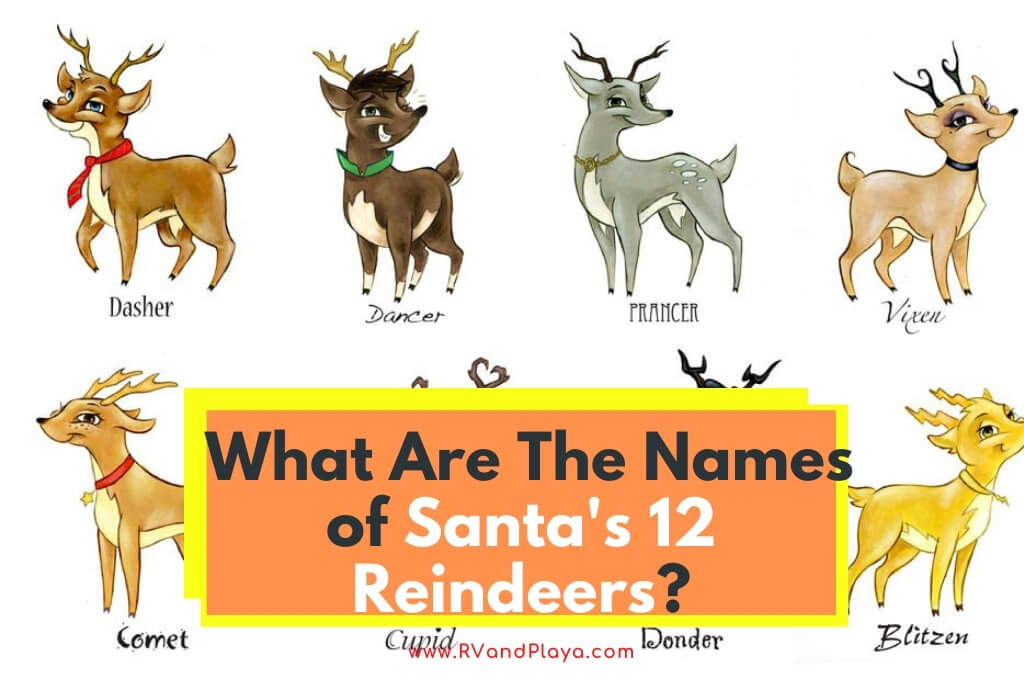 Detail What Are All The 9 Reindeers Names Nomer 5