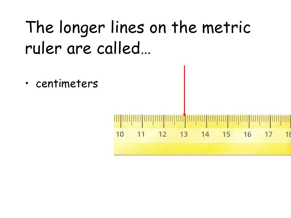 Detail What Are The Lines On A Ruler Called Nomer 22