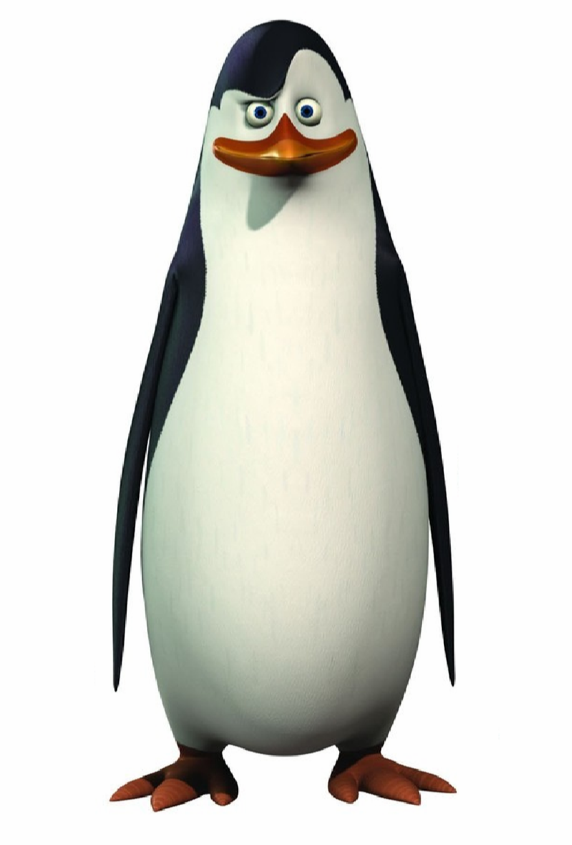 Detail What Are The Names Of The Penguins In Madagascar Nomer 16