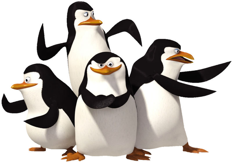 Detail What Are The Names Of The Penguins In Madagascar Nomer 3