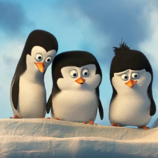 Detail What Are The Names Of The Penguins In Madagascar Nomer 34