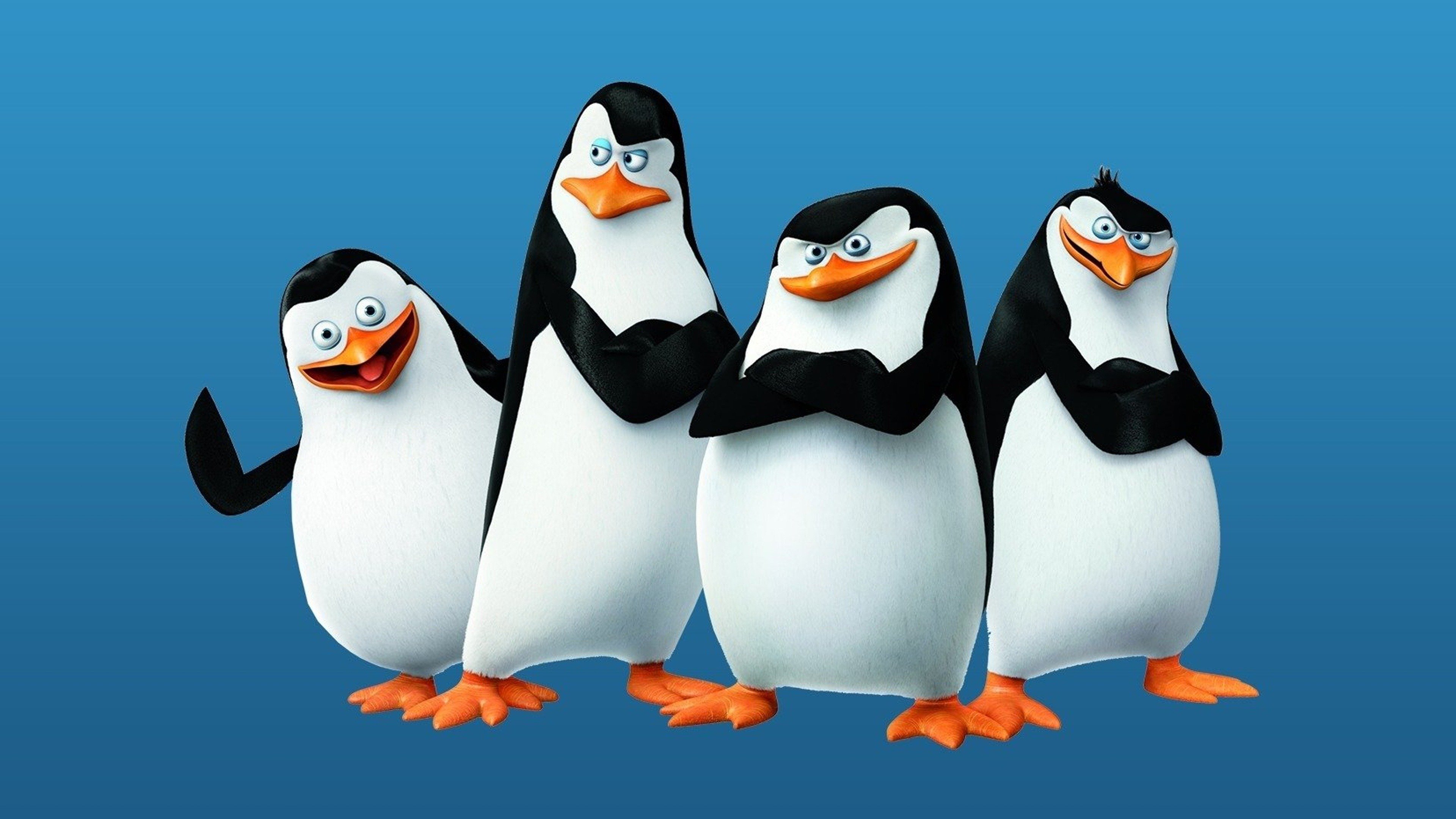 Detail What Are The Names Of The Penguins In Madagascar Nomer 40