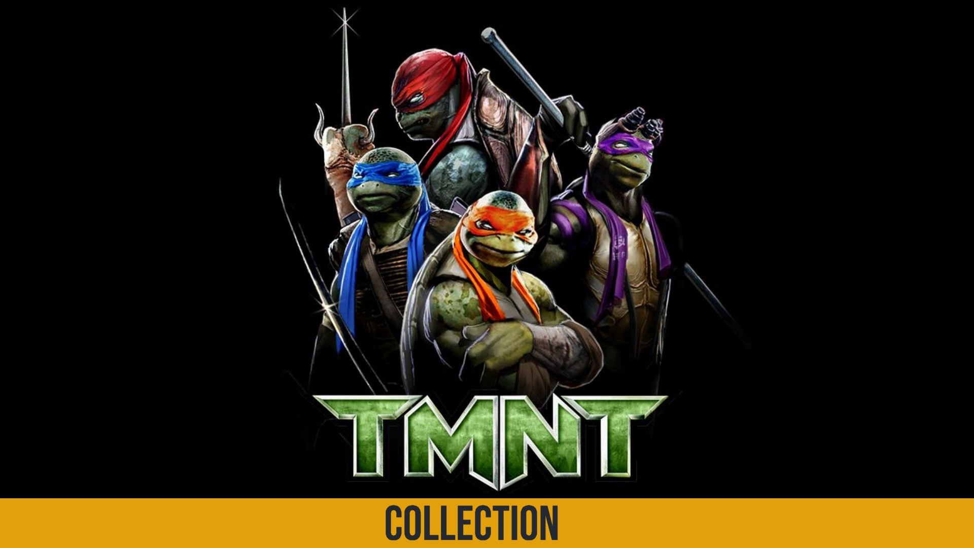 Detail What Are The Teenage Mutant Ninja Turtles Named After Nomer 23