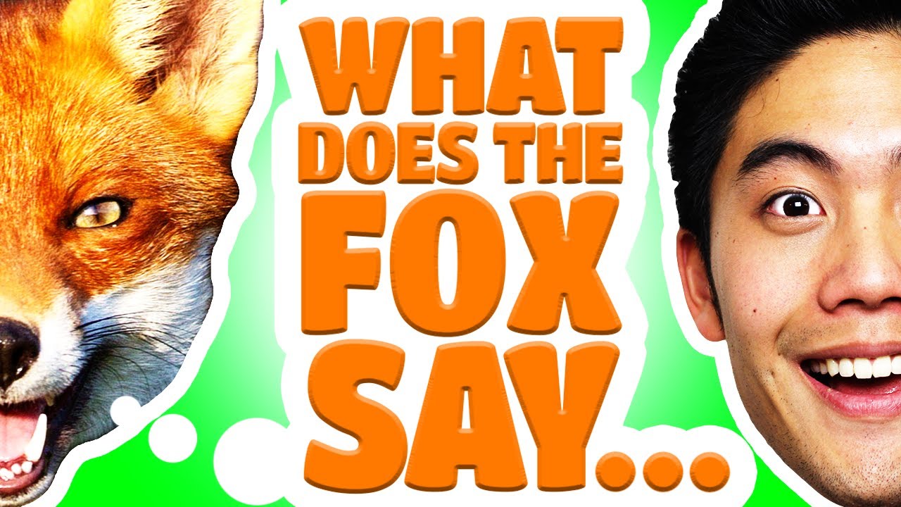 Detail What Does The Fox Say Meme Nomer 28