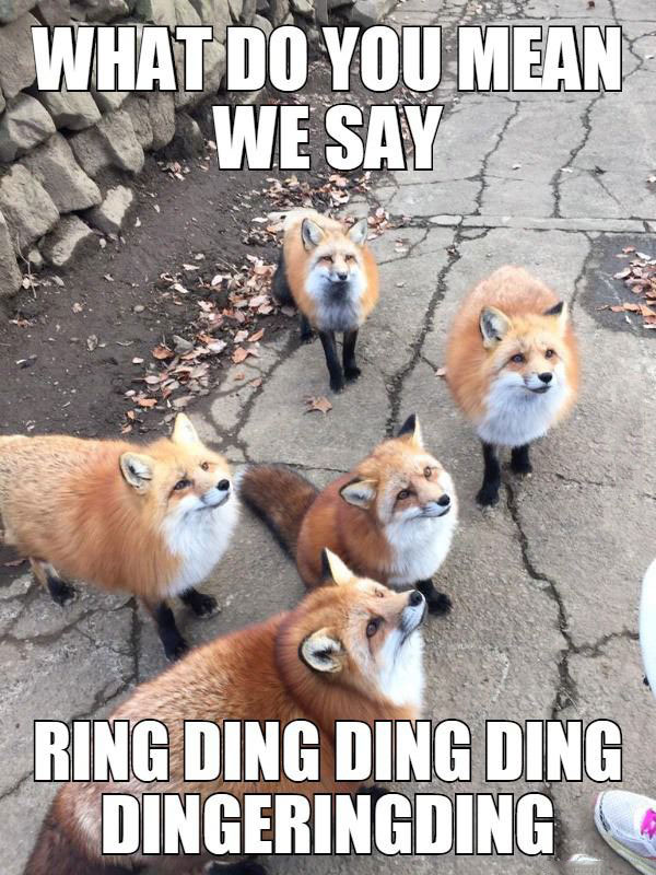 Detail What Does The Fox Say Meme Nomer 47