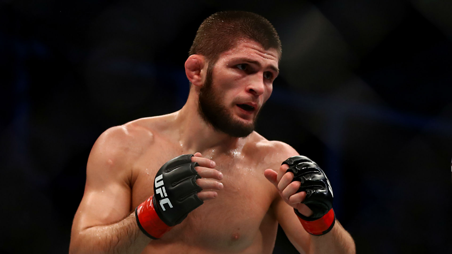 Detail What Ethnicity Is Khabib Nomer 24