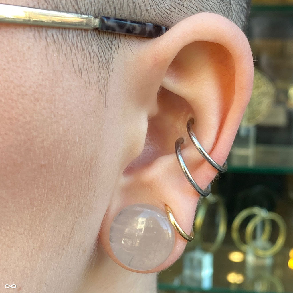 Detail What Gauge For Conch Piercing Nomer 29