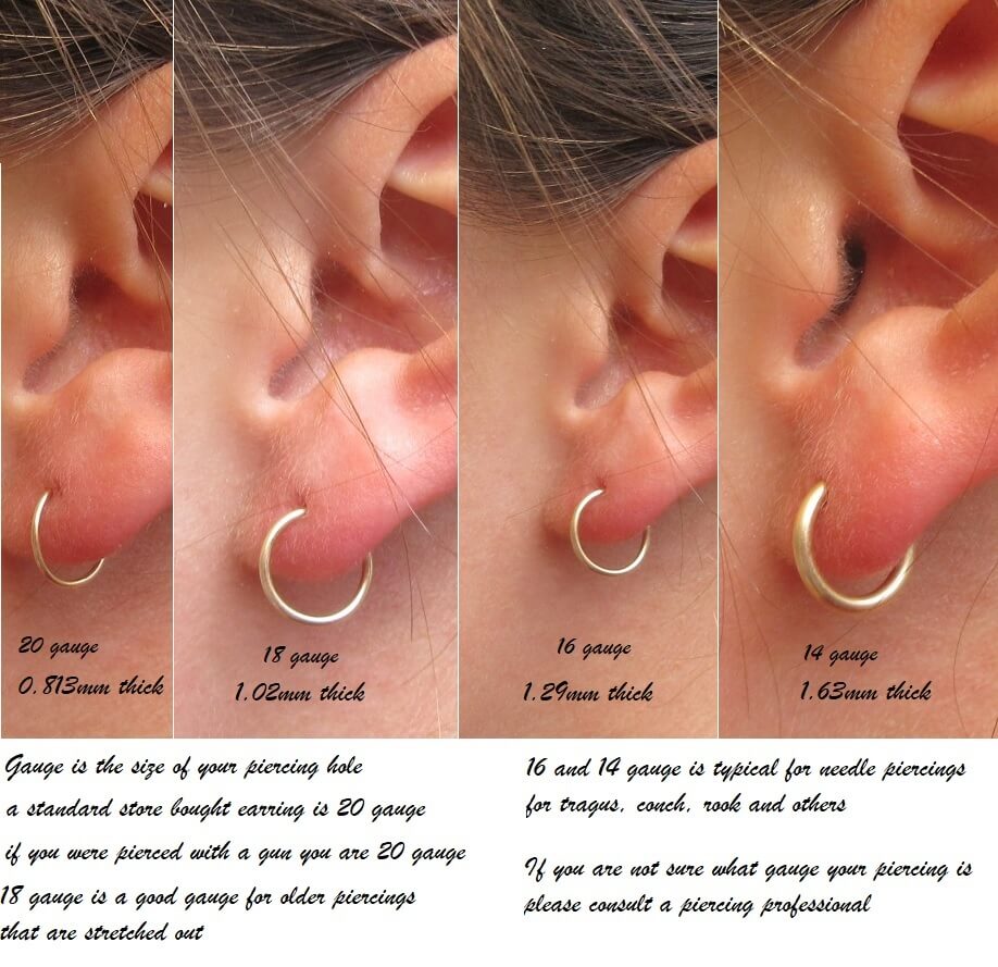 Detail What Gauge For Conch Piercing Nomer 31
