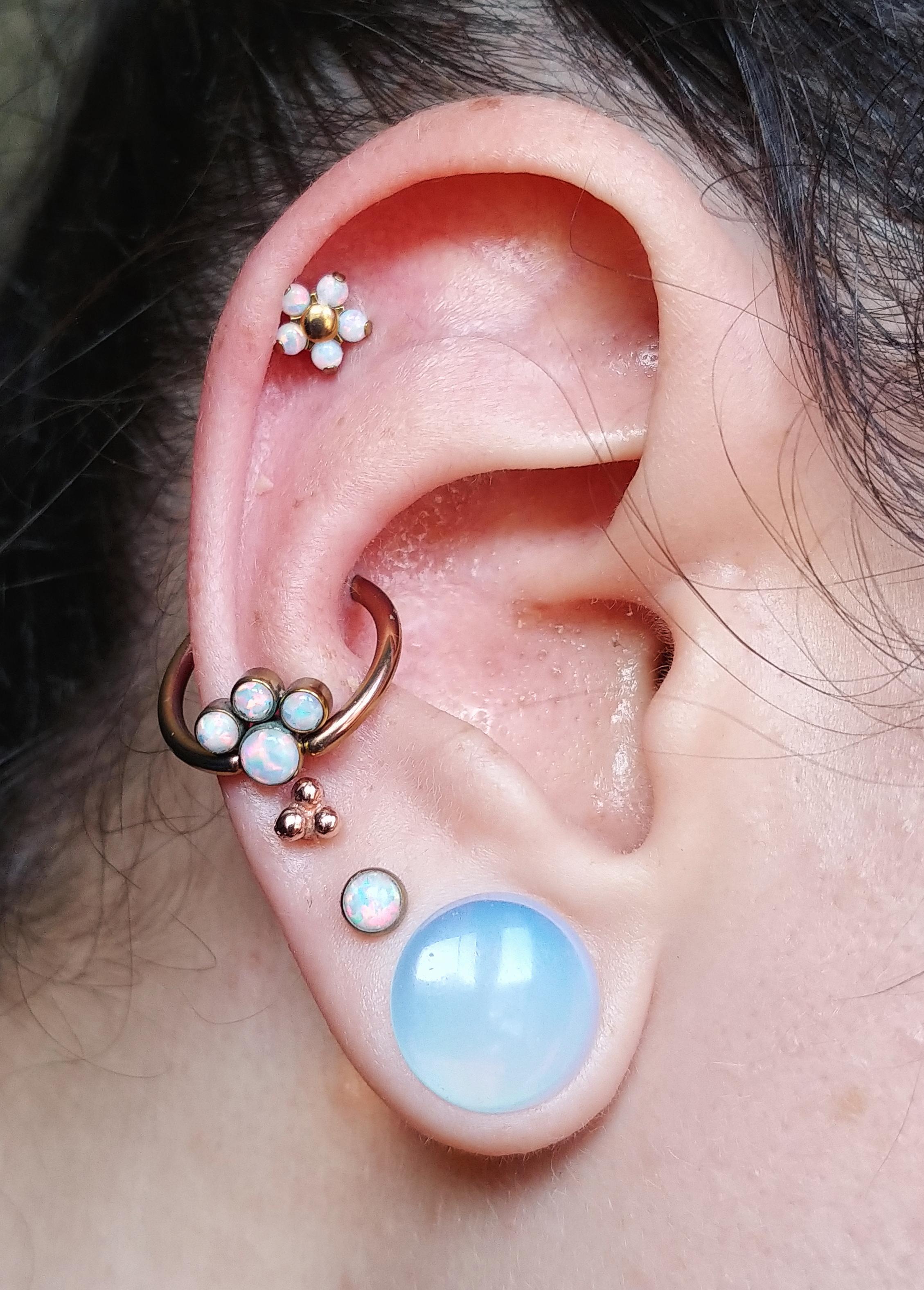 Detail What Gauge For Conch Piercing Nomer 43