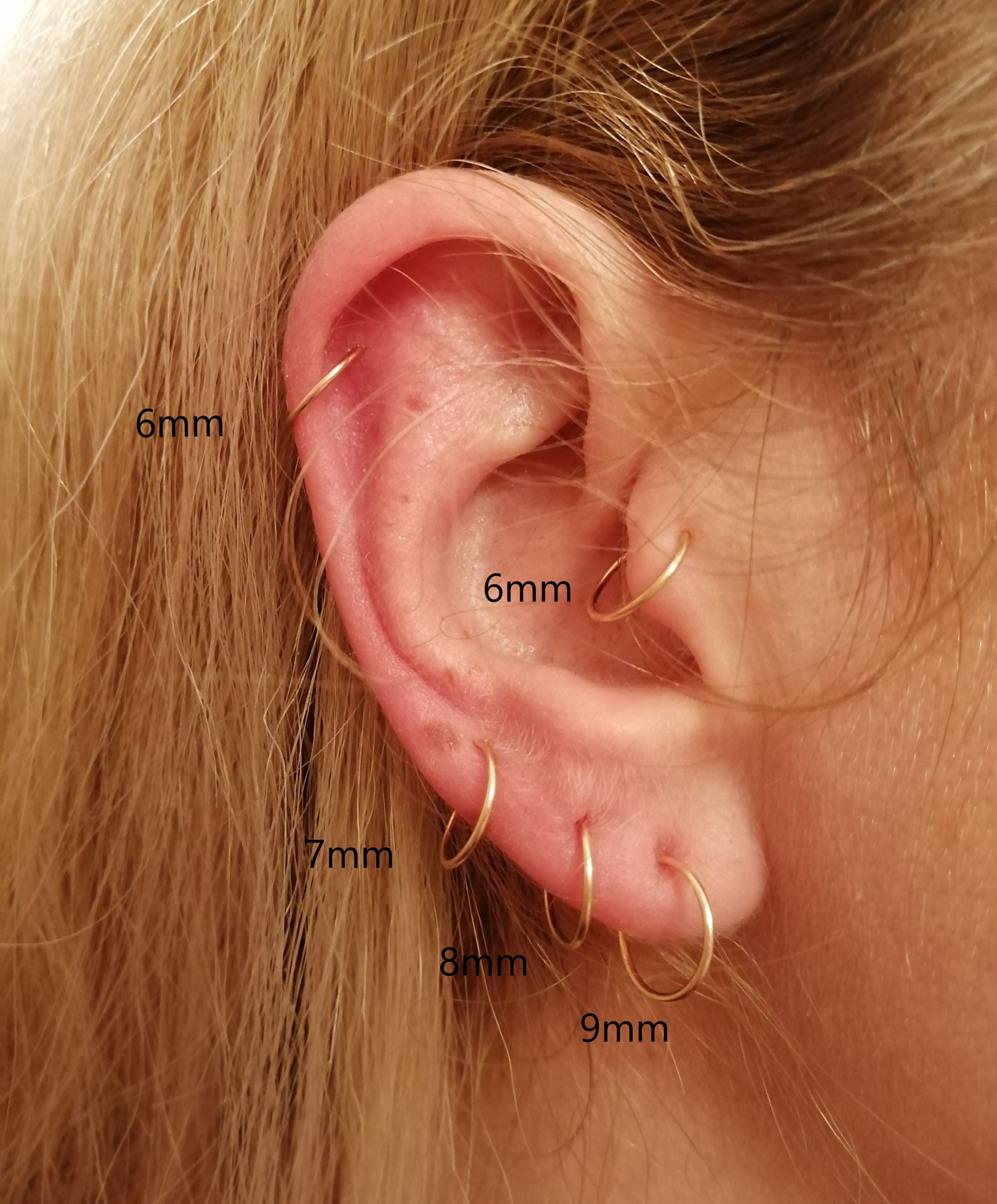 Detail What Gauge For Conch Piercing Nomer 51