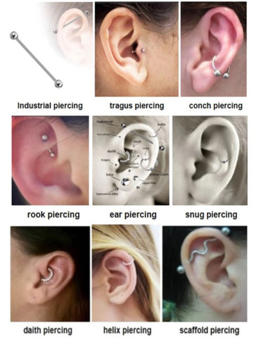 Detail What Gauge For Conch Piercing Nomer 7