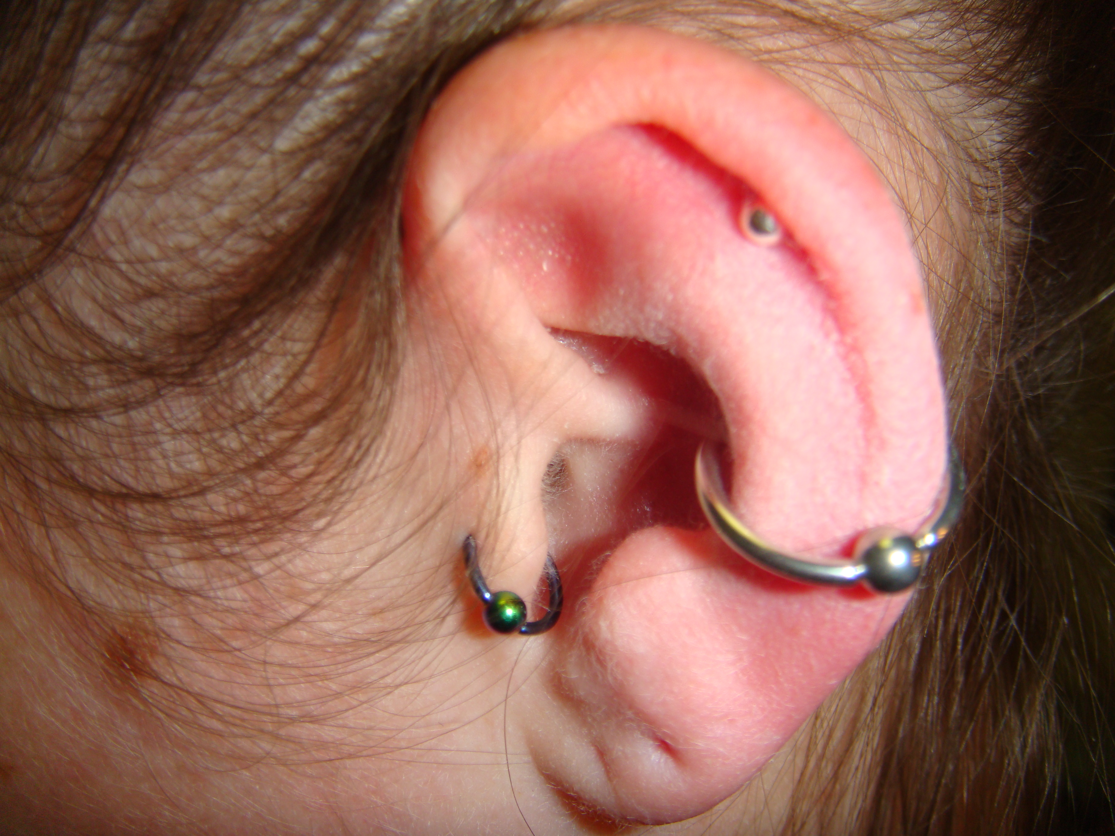 Detail What Gauge For Conch Piercing Nomer 9